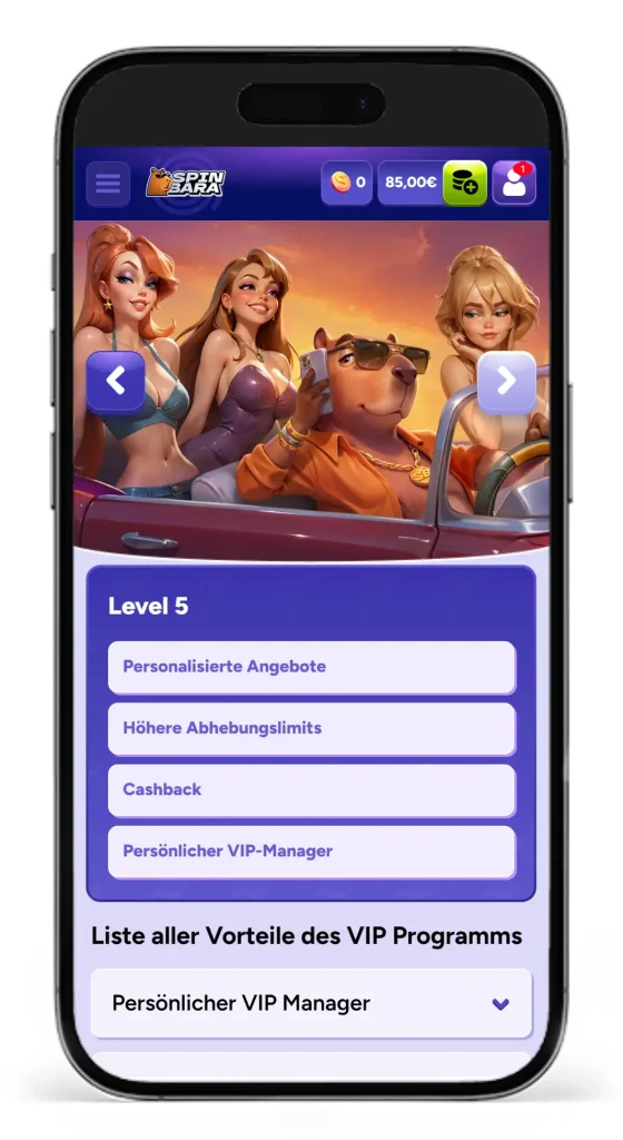 Vorteile vom VIP-Programm im Spinbara Online Casino